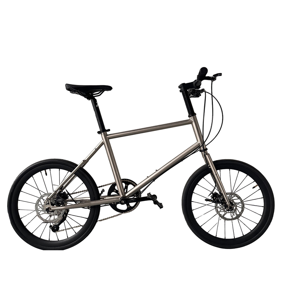 Cycling Gear Inches - Rower chłopięcy 20 cali, rower dziecięcy
